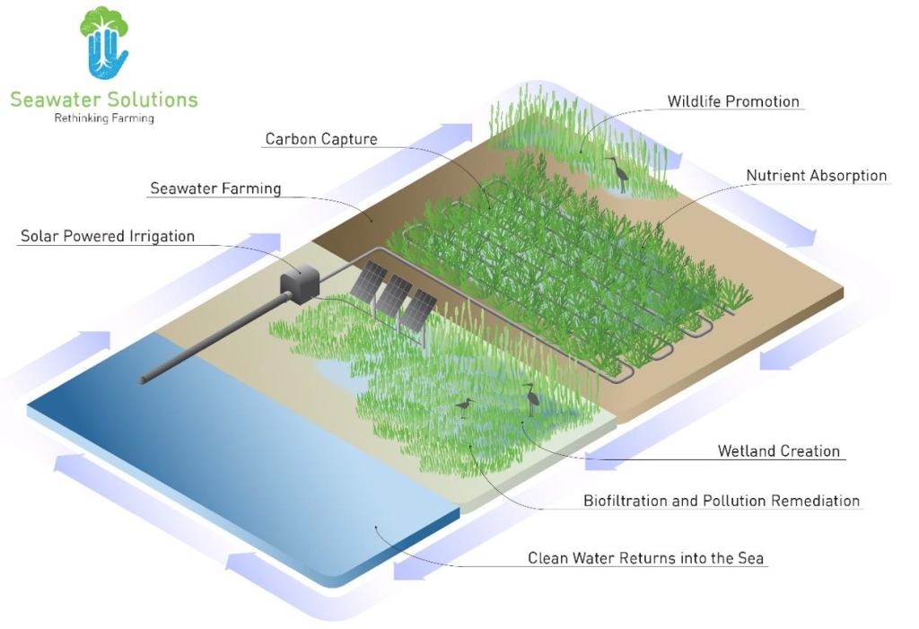 thumbnail_Saline Ag infographic